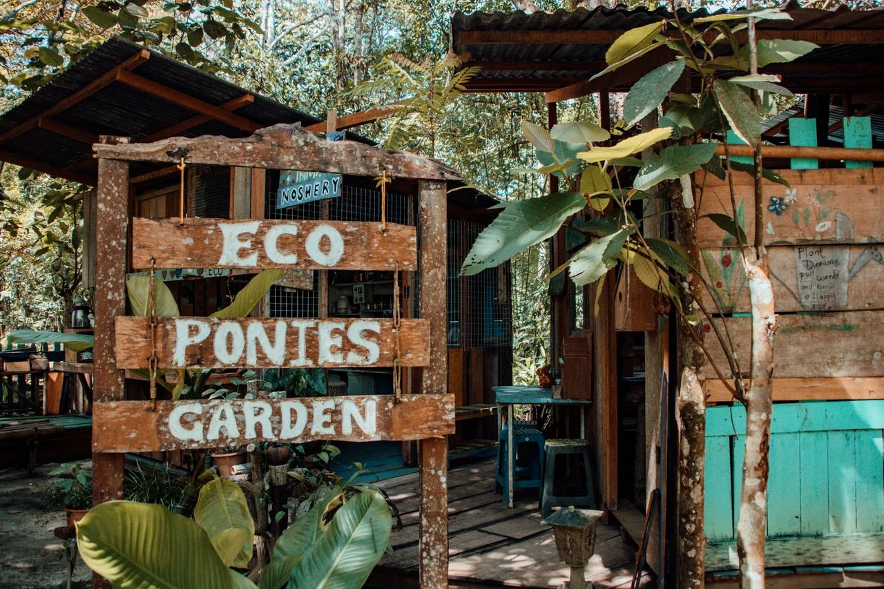 Eco Ponies Garden