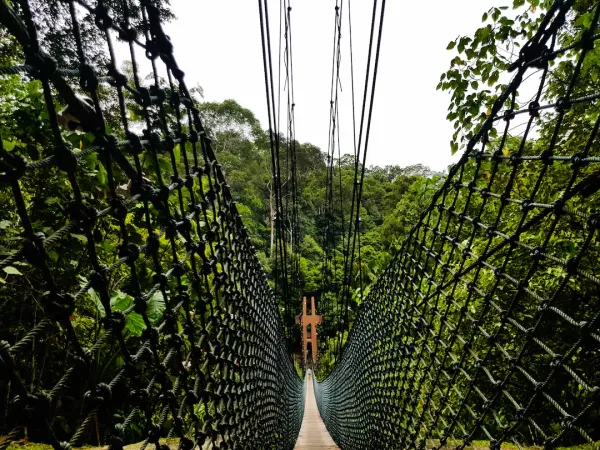 Ulu Temburong National Park