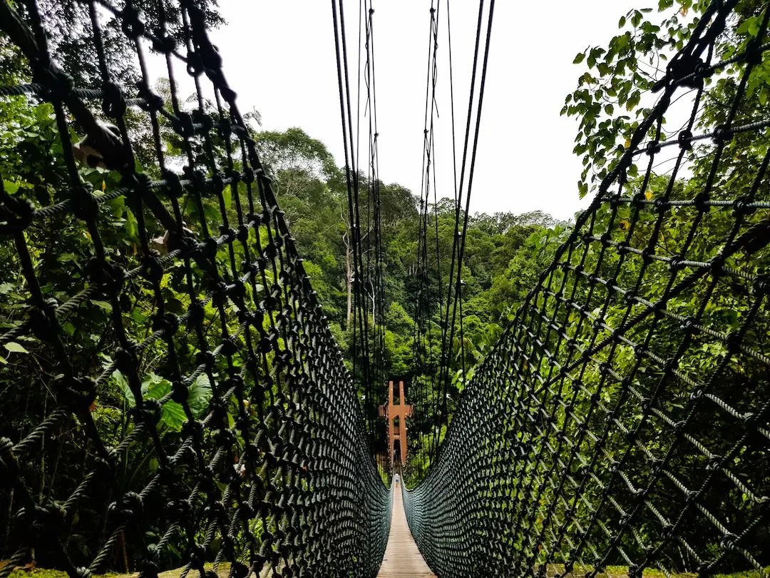 Ulu Temburong National Park