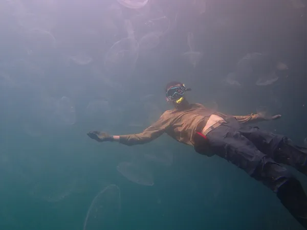 Kakaban Stingless Jellyfish Lake