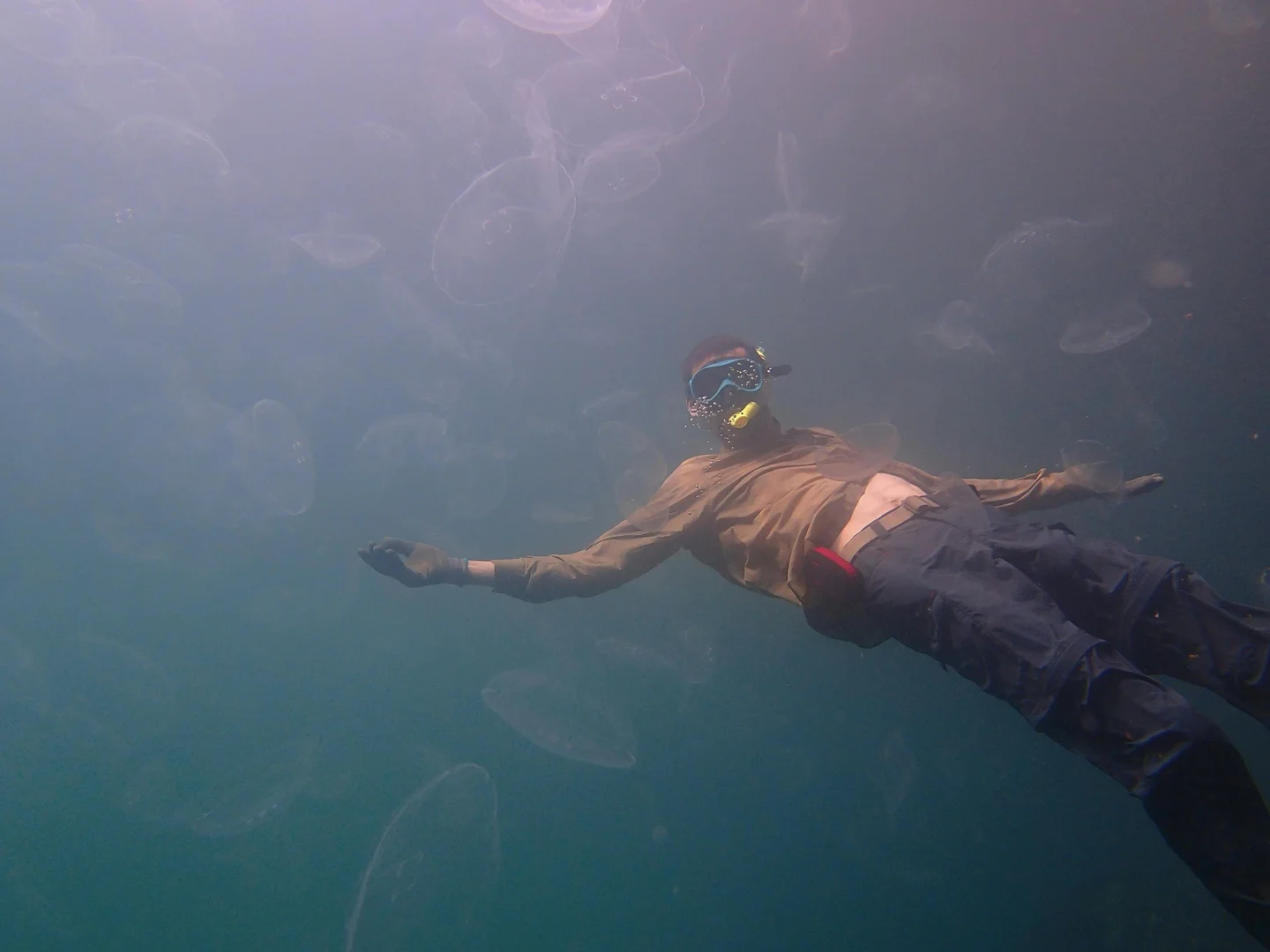 Kakaban Stingless Jellyfish Lake