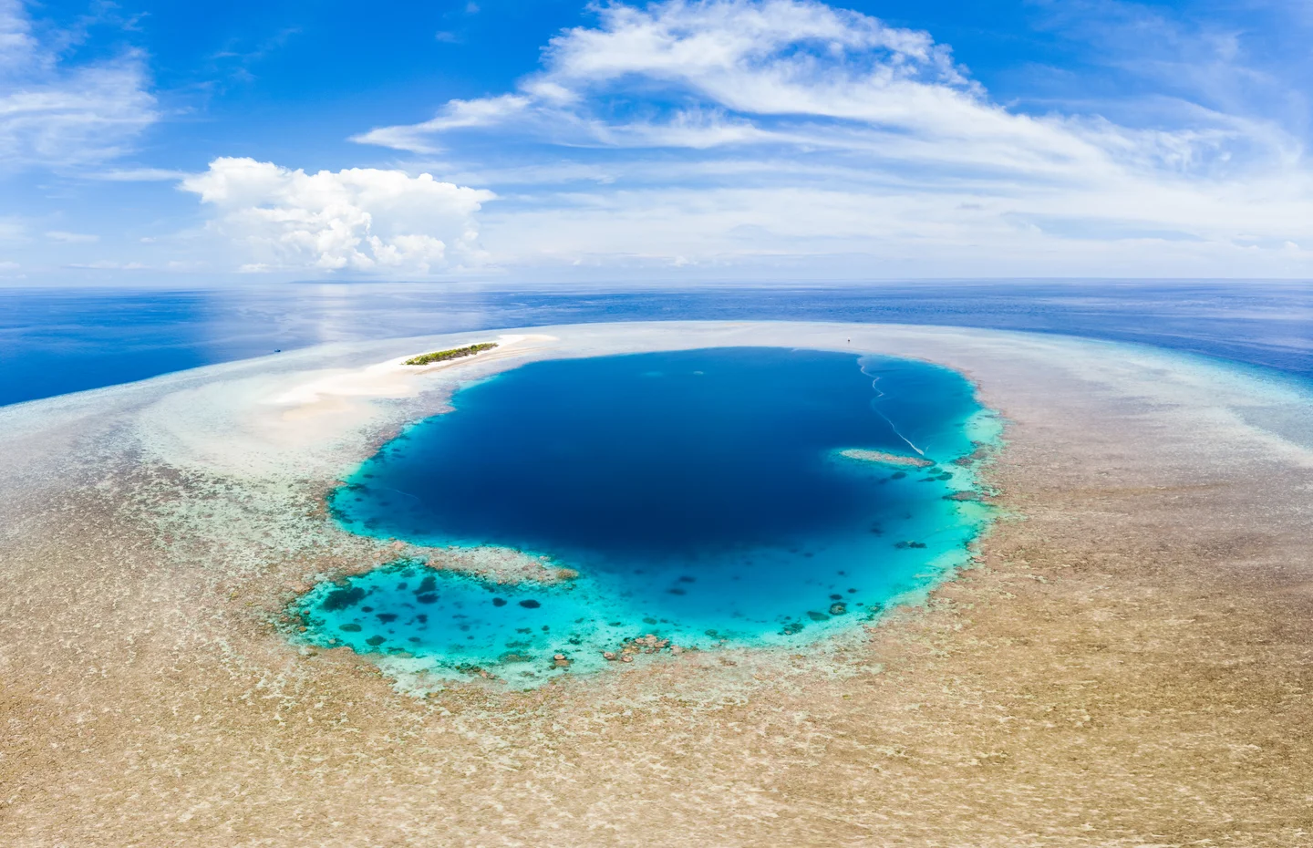 Wakatobi Marine National Park Reefs