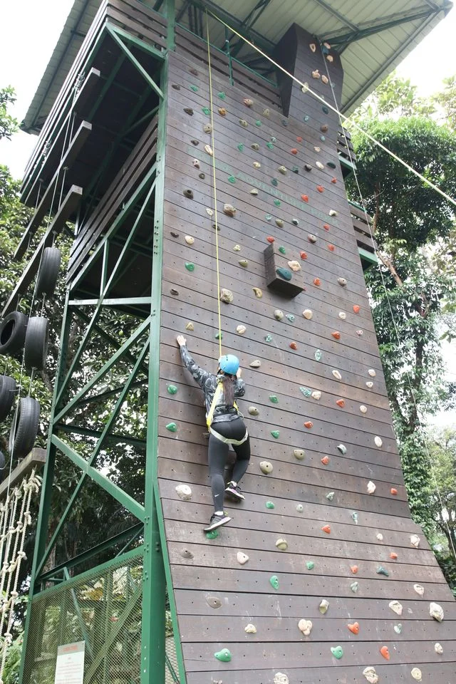 Freme Rainforest Lodge & Adventure Park