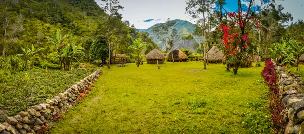 Wamena