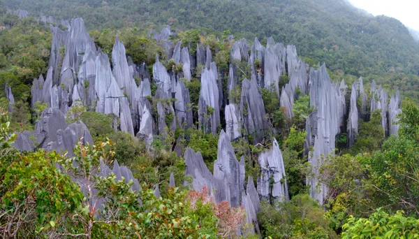 Mulu & Kelabit Highlands